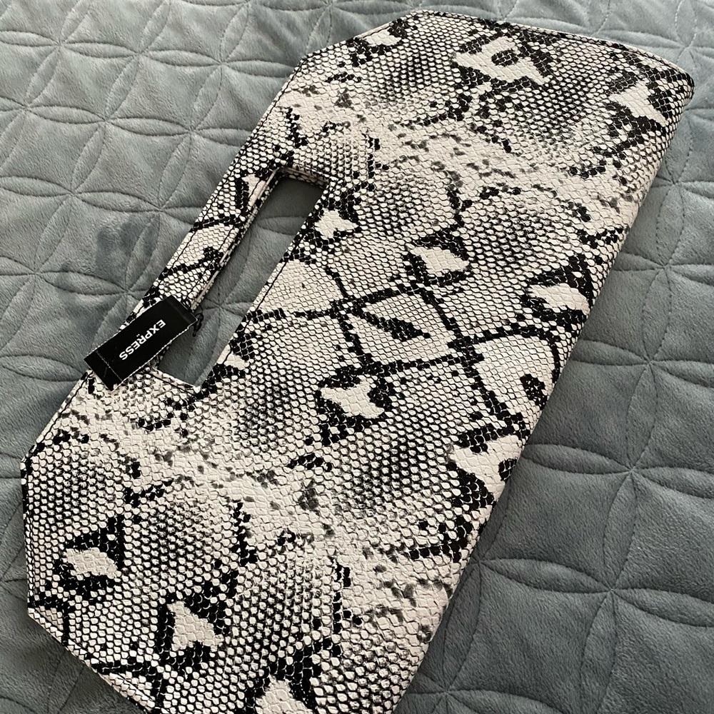 Express clutch